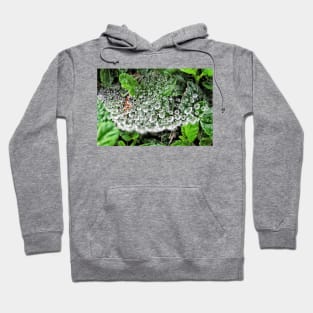 cradle of life Hoodie